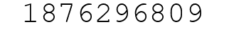 Number 1876296809.