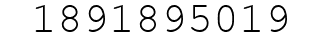 Number 1891895019.