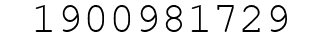 Number 1900981729.