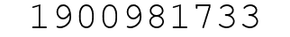 Number 1900981733.