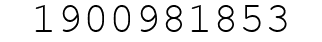 Number 1900981853.