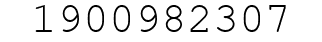 Number 1900982307.