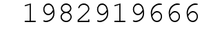 Number 1982919666.