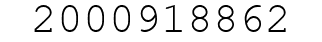 Number 2000918862.