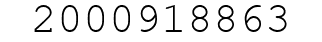 Number 2000918863.
