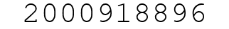 Number 2000918896.