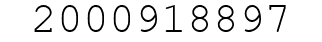 Number 2000918897.