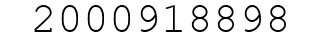 Number 2000918898.