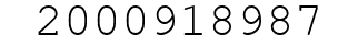 Number 2000918987.