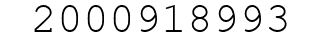 Number 2000918993.