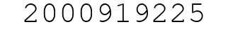 Number 2000919225.