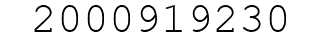 Number 2000919230.