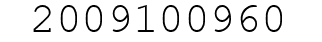 Number 2009100960.