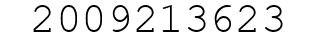 Number 2009213623.
