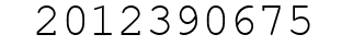 Number 2012390675.