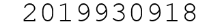 Number 2019930918.