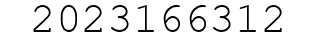 Number 2023166312.