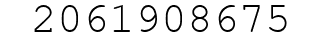 Number 2061908675.