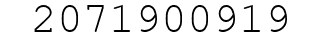 Number 2071900919.