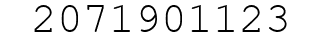 Number 2071901123.