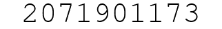 Number 2071901173.