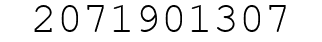 Number 2071901307.