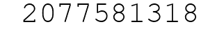 Number 2077581318.
