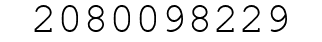 Number 2080098229.
