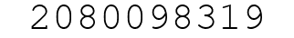 Number 2080098319.