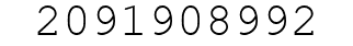Number 2091908992.
