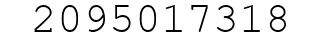 Number 2095017318.