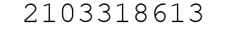 Number 2103318613.