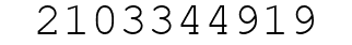 Number 2103344919.