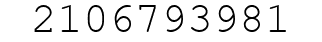 Number 2106793981.