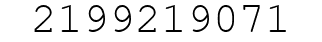 Number 2199219071.