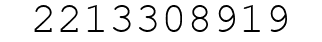 Number 2213308919.