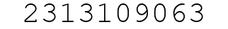 Number 2313109063.