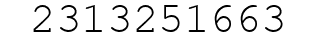 Number 2313251663.