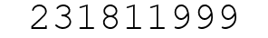 Number 231811999.