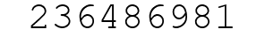 Number 236486981.