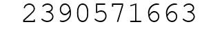 Number 2390571663.