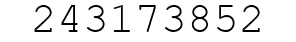 Number 243173852.
