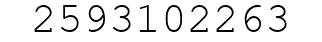 Number 2593102263.