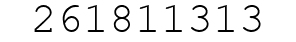 Number 261811313.