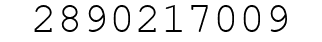 Number 2890217009.