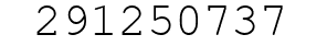 Number 291250737.