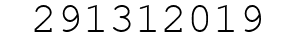 Number 291312019.