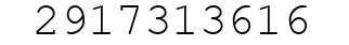 Number 2917313616.