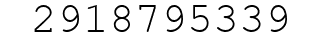 Number 2918795339.