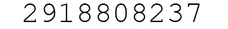 Number 2918808237.